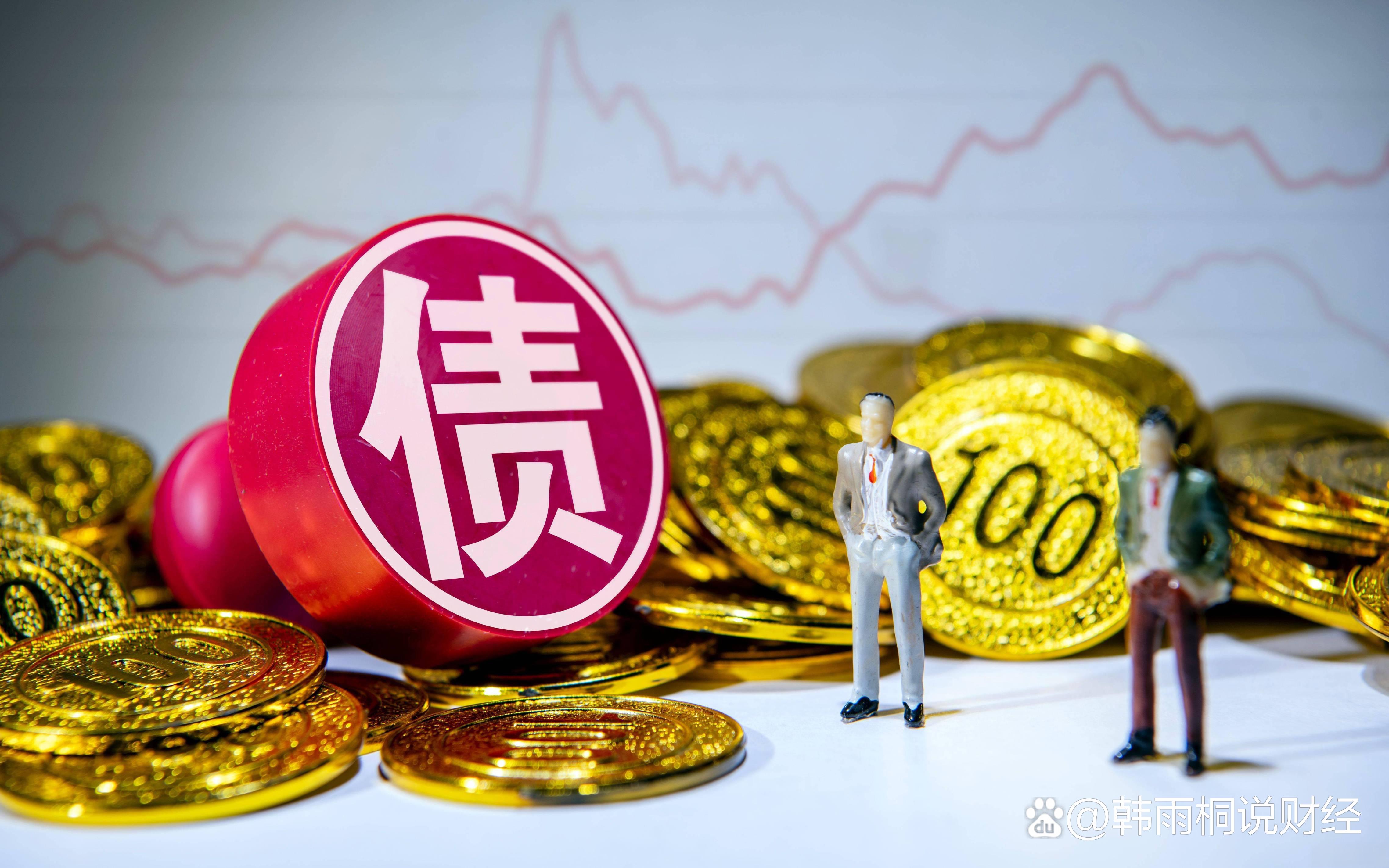再融资信息披露(再融资信息披露的目的)仙桃市