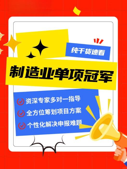 单项冠军申报辅导(单项冠军是什么意思)仙桃市