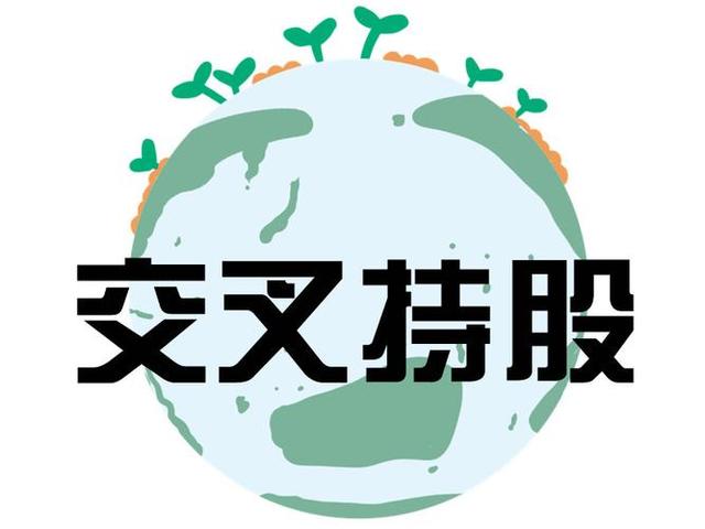 交叉持股安排设计(交叉持股怎么计算持股比例)仙桃市