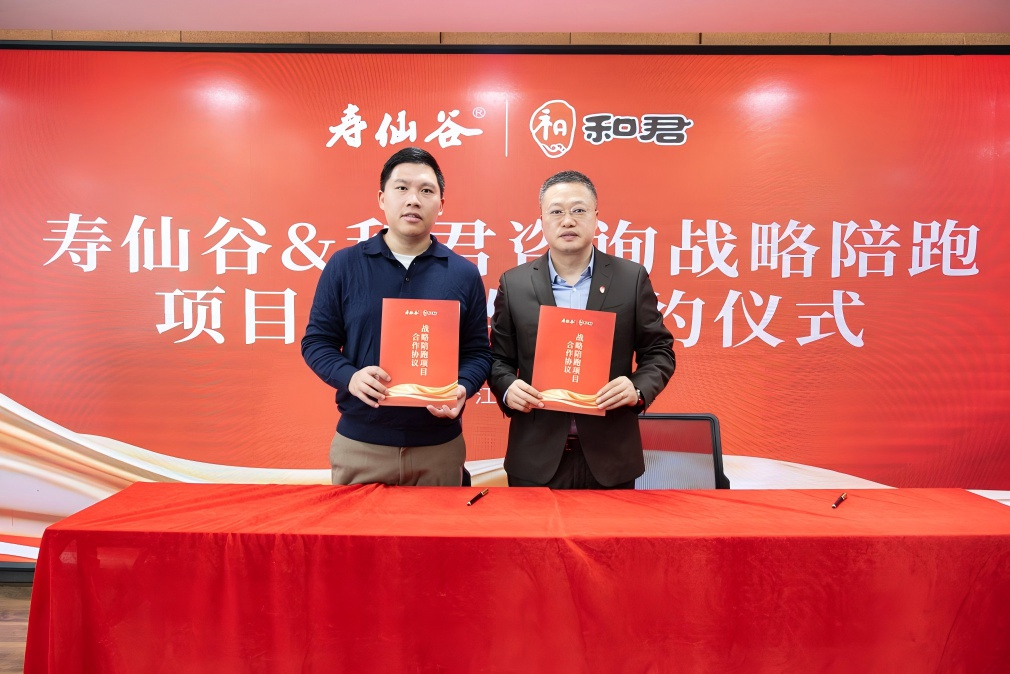 战略执行陪跑服务(战略执行五步方案案例)仙桃市