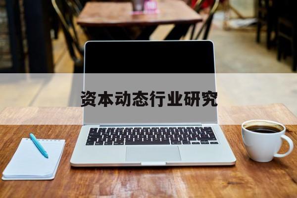 资本动态行业研究(资本动态行业研究论文)仙桃市