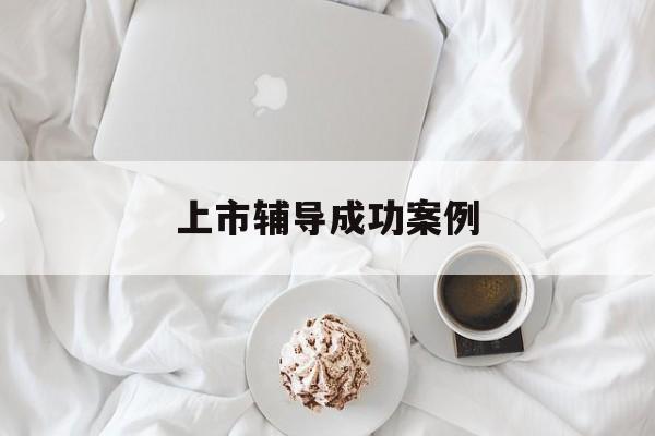 上市辅导成功案例(上市辅导成功后肯定会上市吗)仙桃市
