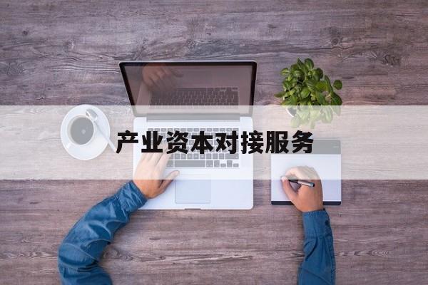 产业资本对接服务(产业资本对接服务包括哪些)仙桃市